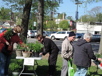 Plant Sale